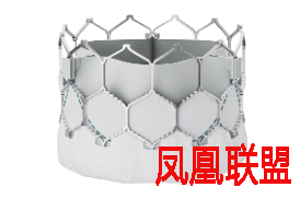 热原检测如何有效确保植入物的生物安全性？